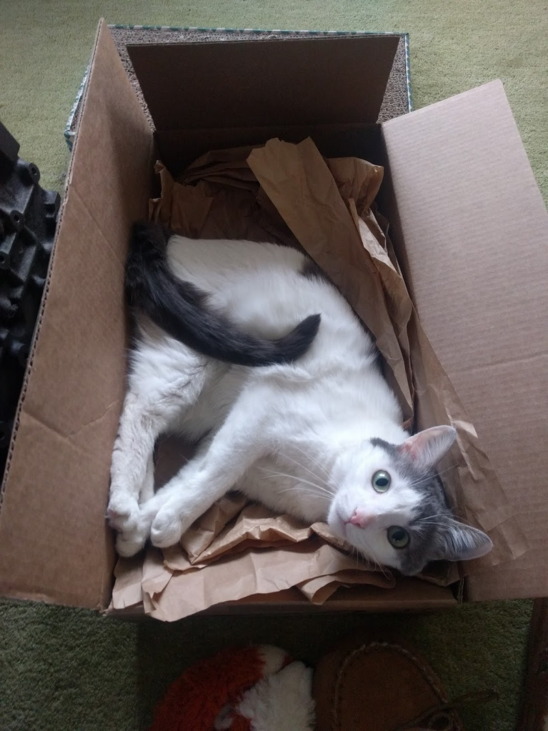 Box, with packing paper. Verdict: 5/10